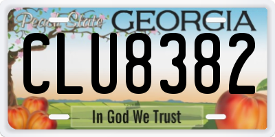GA license plate CLU8382