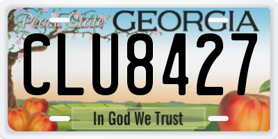 GA license plate CLU8427