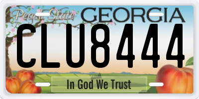 GA license plate CLU8444