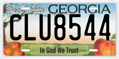 GA license plate CLU8544