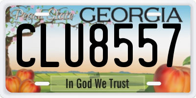 GA license plate CLU8557