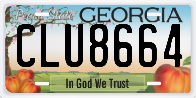 GA license plate CLU8664