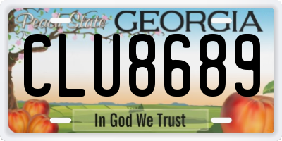 GA license plate CLU8689