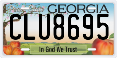 GA license plate CLU8695
