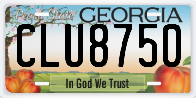GA license plate CLU8750