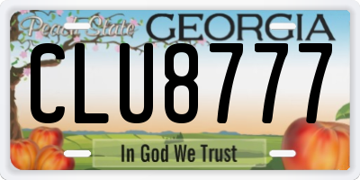 GA license plate CLU8777