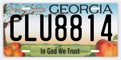 GA license plate CLU8814