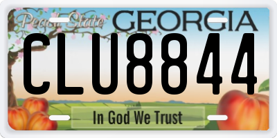 GA license plate CLU8844