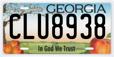 GA license plate CLU8938