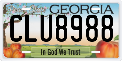 GA license plate CLU8988