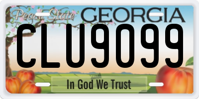 GA license plate CLU9099