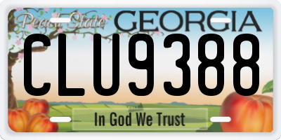 GA license plate CLU9388
