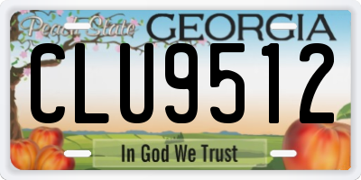 GA license plate CLU9512