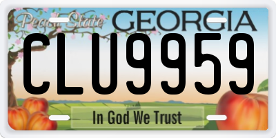 GA license plate CLU9959