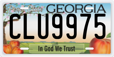 GA license plate CLU9975