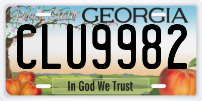 GA license plate CLU9982