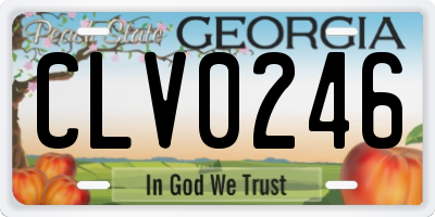 GA license plate CLV0246
