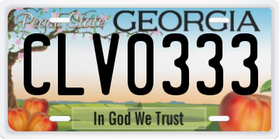 GA license plate CLV0333