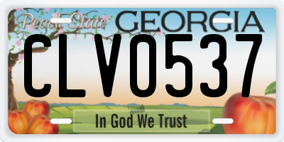 GA license plate CLV0537