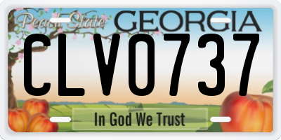 GA license plate CLV0737