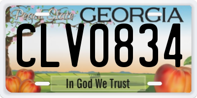 GA license plate CLV0834