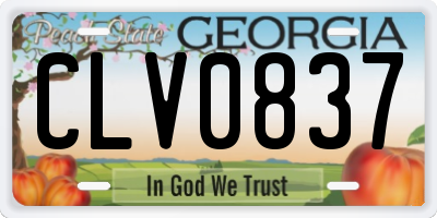 GA license plate CLV0837