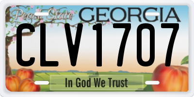 GA license plate CLV1707