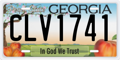 GA license plate CLV1741
