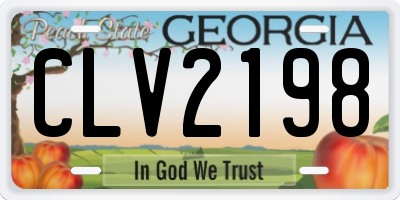 GA license plate CLV2198