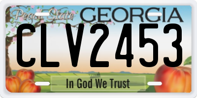 GA license plate CLV2453
