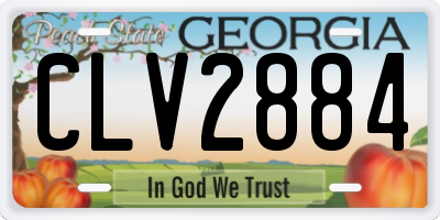 GA license plate CLV2884