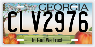GA license plate CLV2976