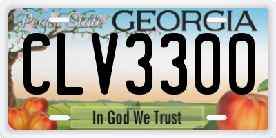 GA license plate CLV3300