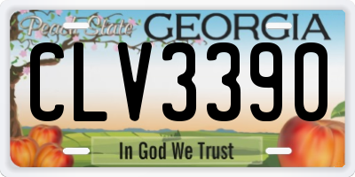 GA license plate CLV3390
