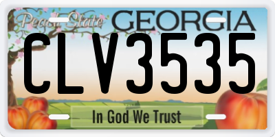 GA license plate CLV3535