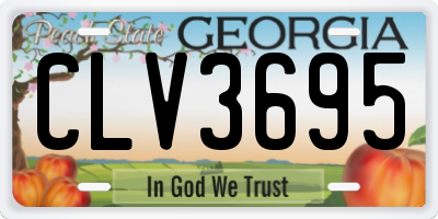 GA license plate CLV3695