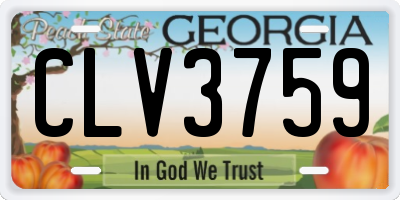 GA license plate CLV3759