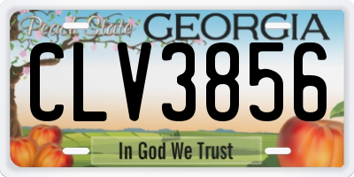 GA license plate CLV3856