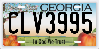 GA license plate CLV3995