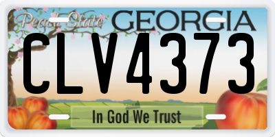GA license plate CLV4373