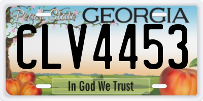 GA license plate CLV4453