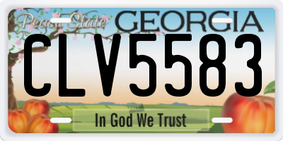 GA license plate CLV5583