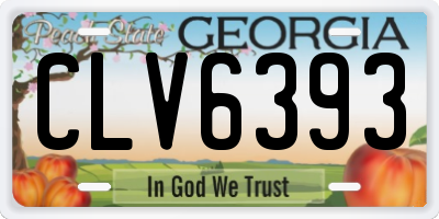 GA license plate CLV6393