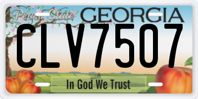 GA license plate CLV7507