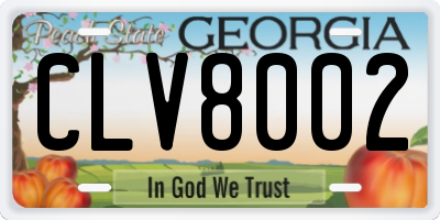 GA license plate CLV8002