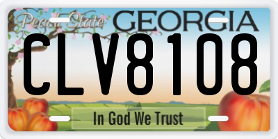 GA license plate CLV8108