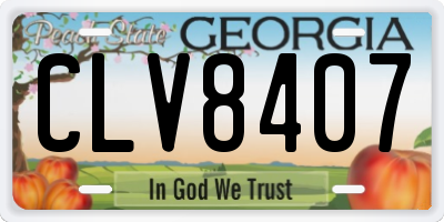 GA license plate CLV8407