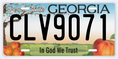 GA license plate CLV9071