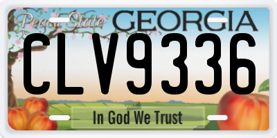 GA license plate CLV9336