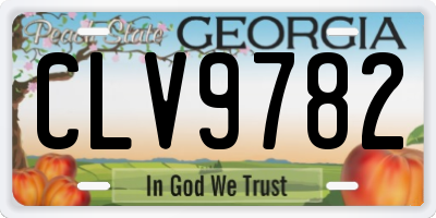 GA license plate CLV9782